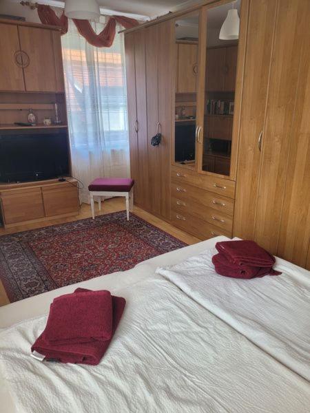 Ferienwohnung Korneuburg Bei Wien -1 Εξωτερικό φωτογραφία